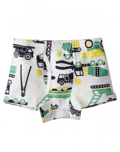 Boys Boxer Briefs Cotton Comfort Dinosaur Underwear for Kids 6 Pack - B ...