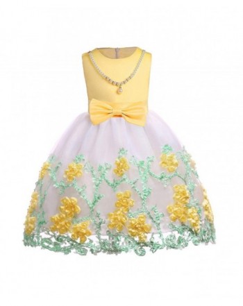 JIANLANPTT Elegant Embroidery Dresses Princess