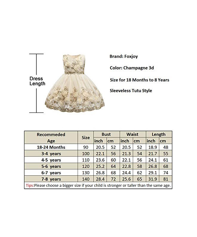 Ruffles Lace Bow Flower Tulle Princess Formal Wedding Birthday Party ...