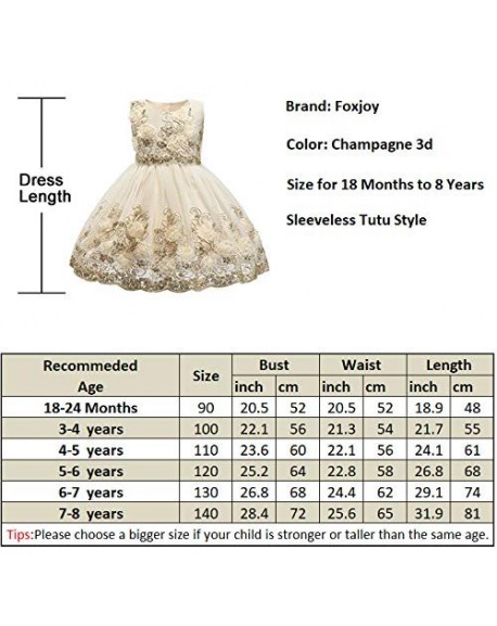 Ruffles Lace Bow Flower Tulle Princess Formal Wedding Birthday Party ...