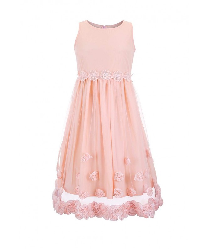 Girls' A-Line Dress with Floral Lace and Rosettes - Pink - C8183EWIDTZ
