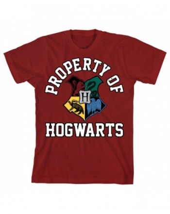 HARRY POTTER Boys Big Hogwarts