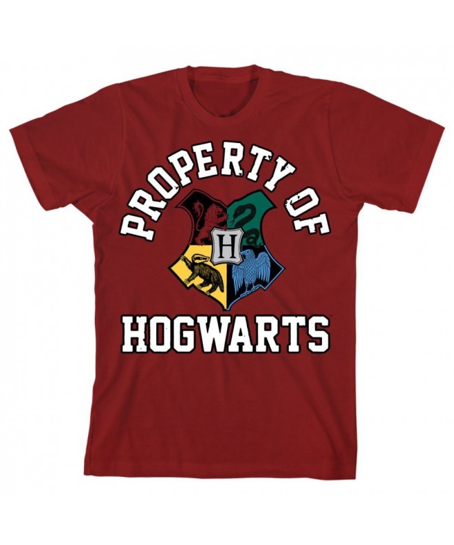 HARRY POTTER Boys Big Hogwarts