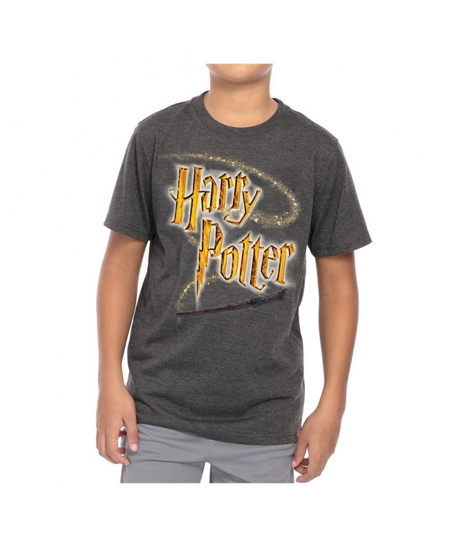 Harry Potter T Shirt Heather X Small