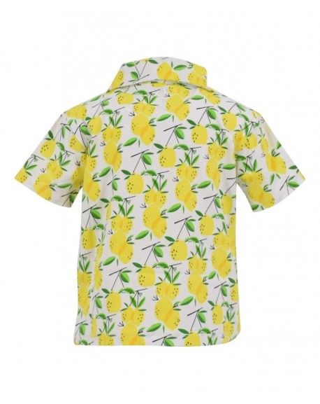 Boys Lemon Print Short Sleeve Collared Polo Shirt - CE18M7QK5LY